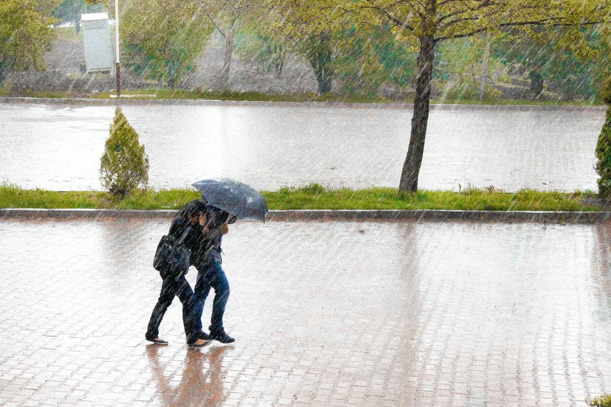 Två människor under ett paraply i regn.